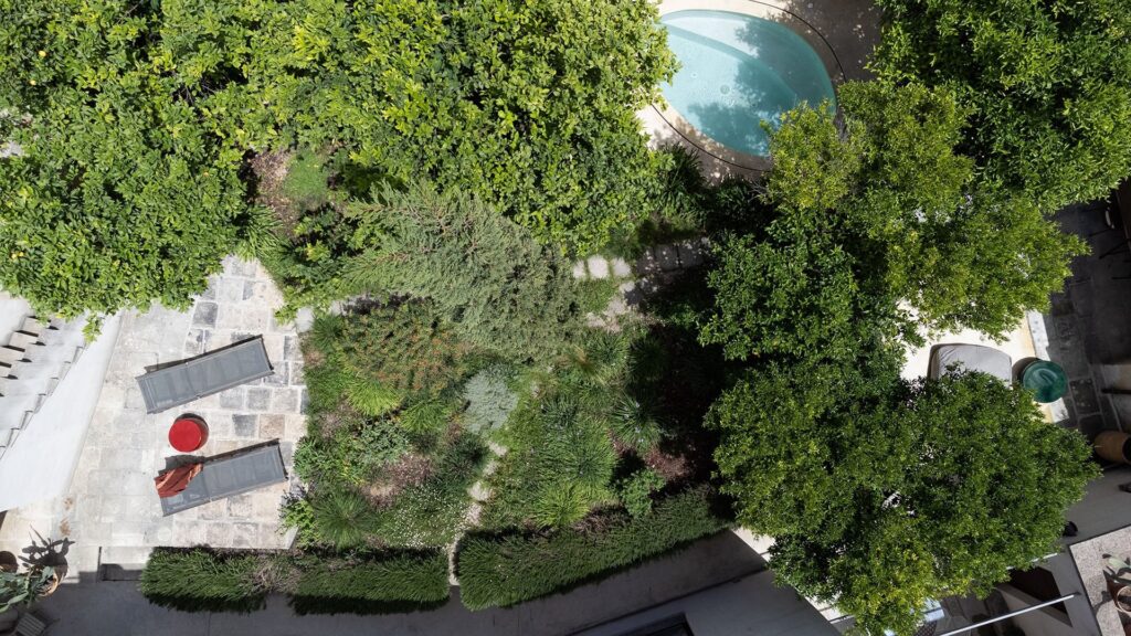 Aerial view of the garden canopy and pool, Agrumeto house, Nardò