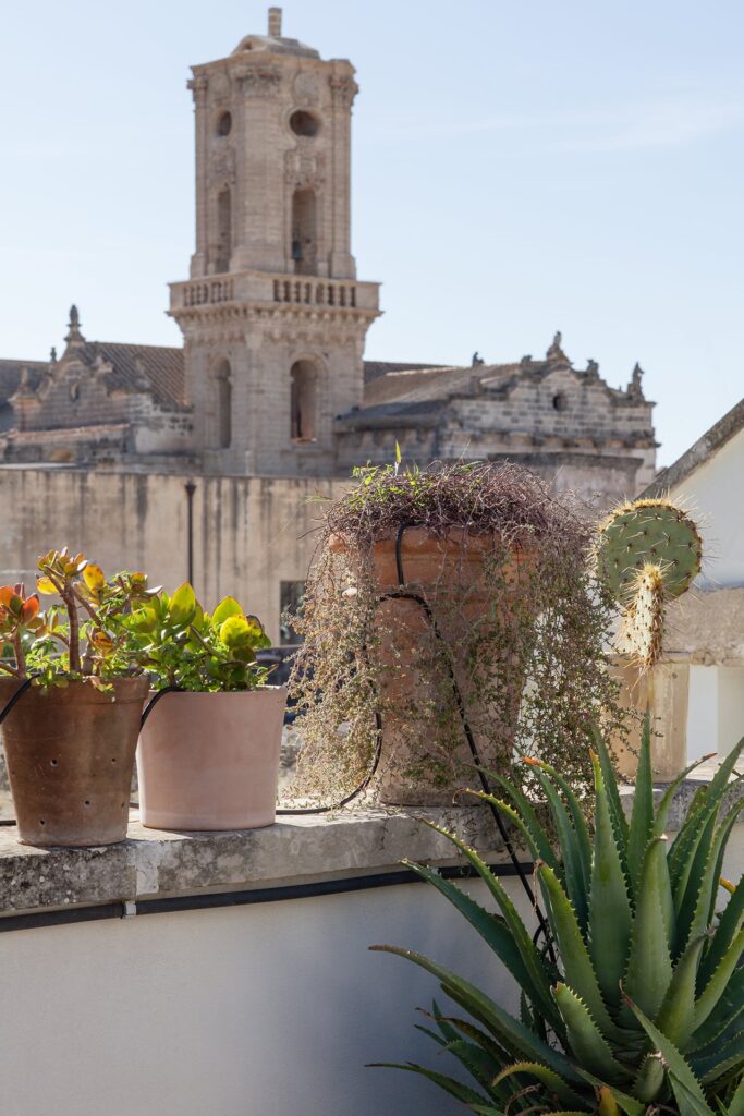 29. Angelo_Custode_Nardòsalento_Credits40Mirrors_80_Rooftop terrace views Rooftop terrace succulents with the baroque church tower beyond, Angelo Custode, Nardò