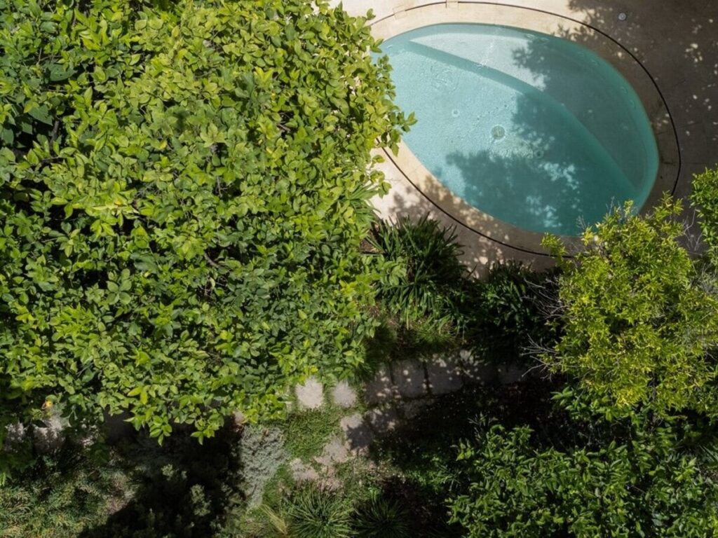 Aerial view of the pool framed by citrus trees, Agrumeto house, Nardò