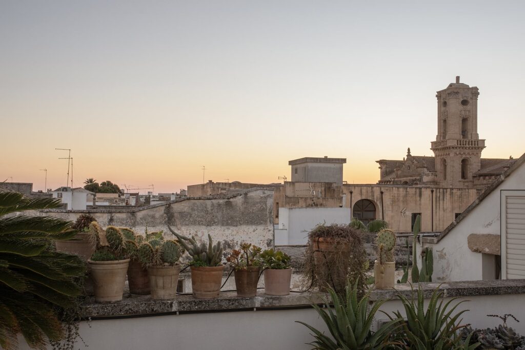 35. Angelo_Custode_Nardòsalento_Credits40Mirrors_9957_Rooftop terraces Rooftop terrace at sunset with potted succulents along the parapet, Angelo Custode, Nardò