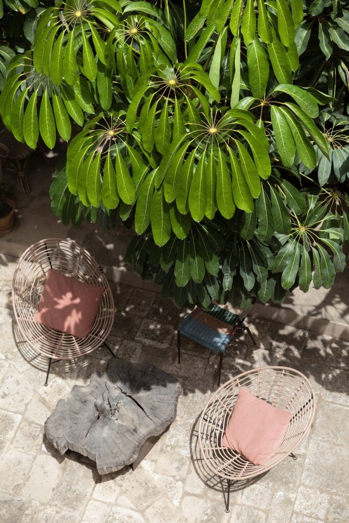 Courtyard seen from above, with wicker chairs beneath the tree canopy, La Corte, Nardò