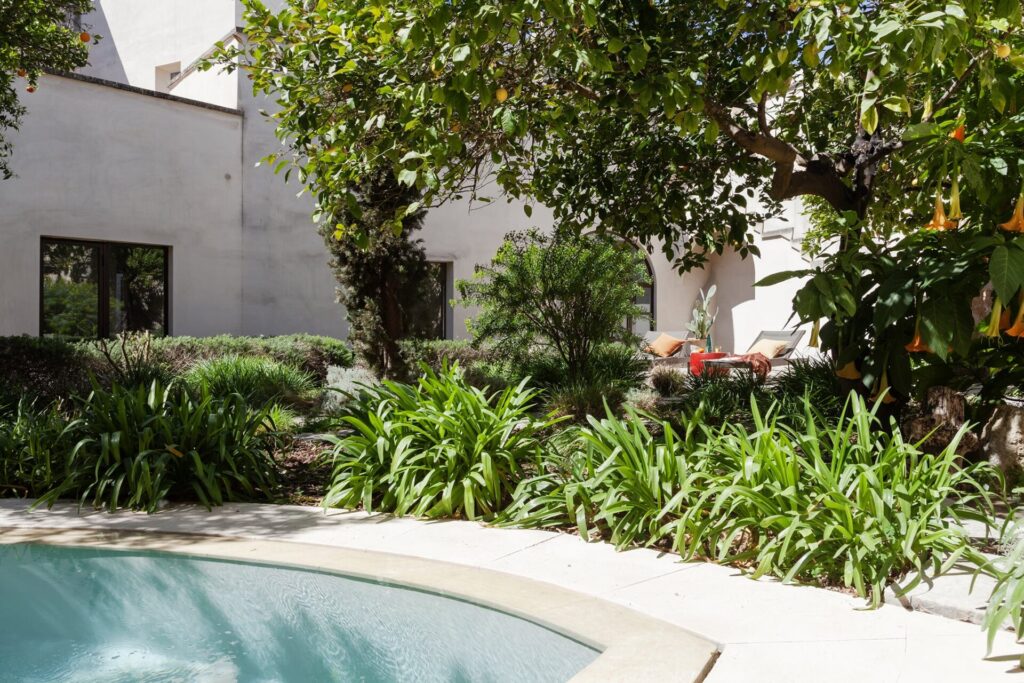 5 Agrumeto_Nardòsalento_Credits40Mirrors_263200V_garden&pool. Pool bordered by citrus trees and flowering angel's trumpet, La Casa Grande, Nardò